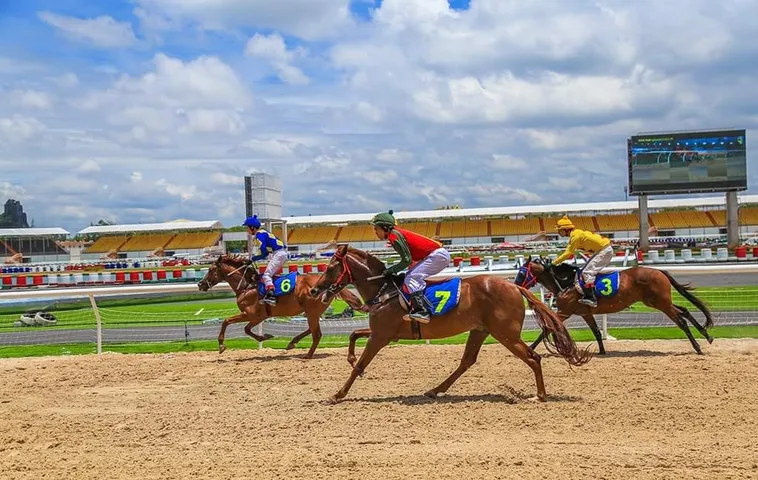 Tìm Hiểu Cá Cược Đua Ngựa iBet68 Hồi Hộp Từng Giây Đua