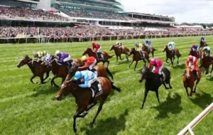 Tìm Hiểu Cá Cược Đua Ngựa iBet68 Hồi Hộp Từng Giây Đua