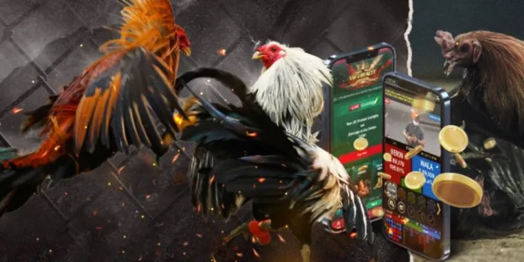 Bùng Nổ Cảm Xúc Với Sảnh Đá Gà GA28 iBet68 Tỷ Lệ Cược Cực Khủng