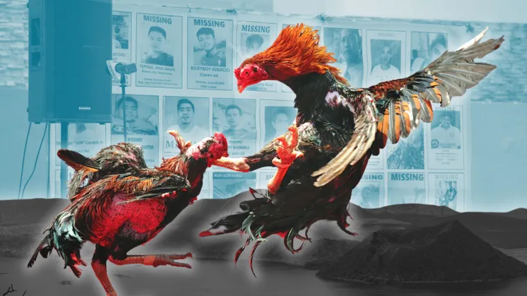 Chinh Phục Sàn Đấu Sabong iBet68 Đỉnh Cao Với Tỷ Lệ Thắng Lớn Nhất